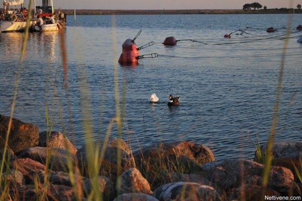 Jantun lokikirja: Saaristomeren 10 parasta satamaa – Jurmo 10/10