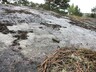 Uudet veneilykohteet: Helsinki, Isosaari
