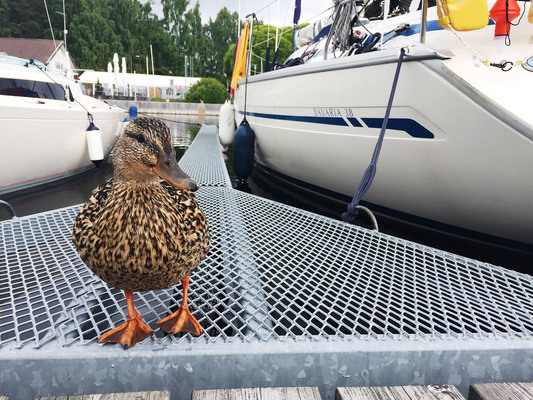 Käytetyn veneen osto ja myynti – 5 vinkkiä ammattilaisilta