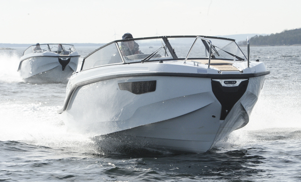 Silver Tiger – eläintarhan uusin tulokas