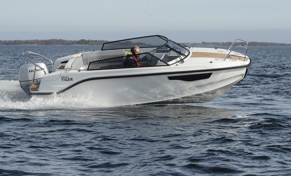 Silver Tiger – eläintarhan uusin tulokas