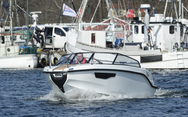 Silver Tiger – eläintarhan uusin tulokas