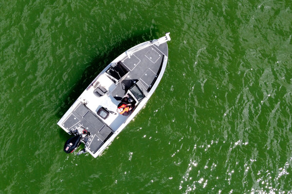 Aaltomarine 600DC FISH - tukevaa tekoa kalastajalta kalastajalle