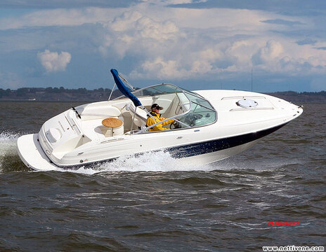 Testissä Bayliner 802 Cuddy